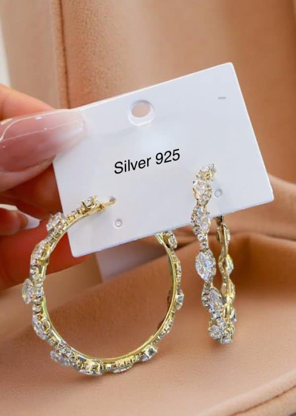 Elegant Hoops Crystal Earrings in Gold